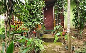 Green Heaven Lodge