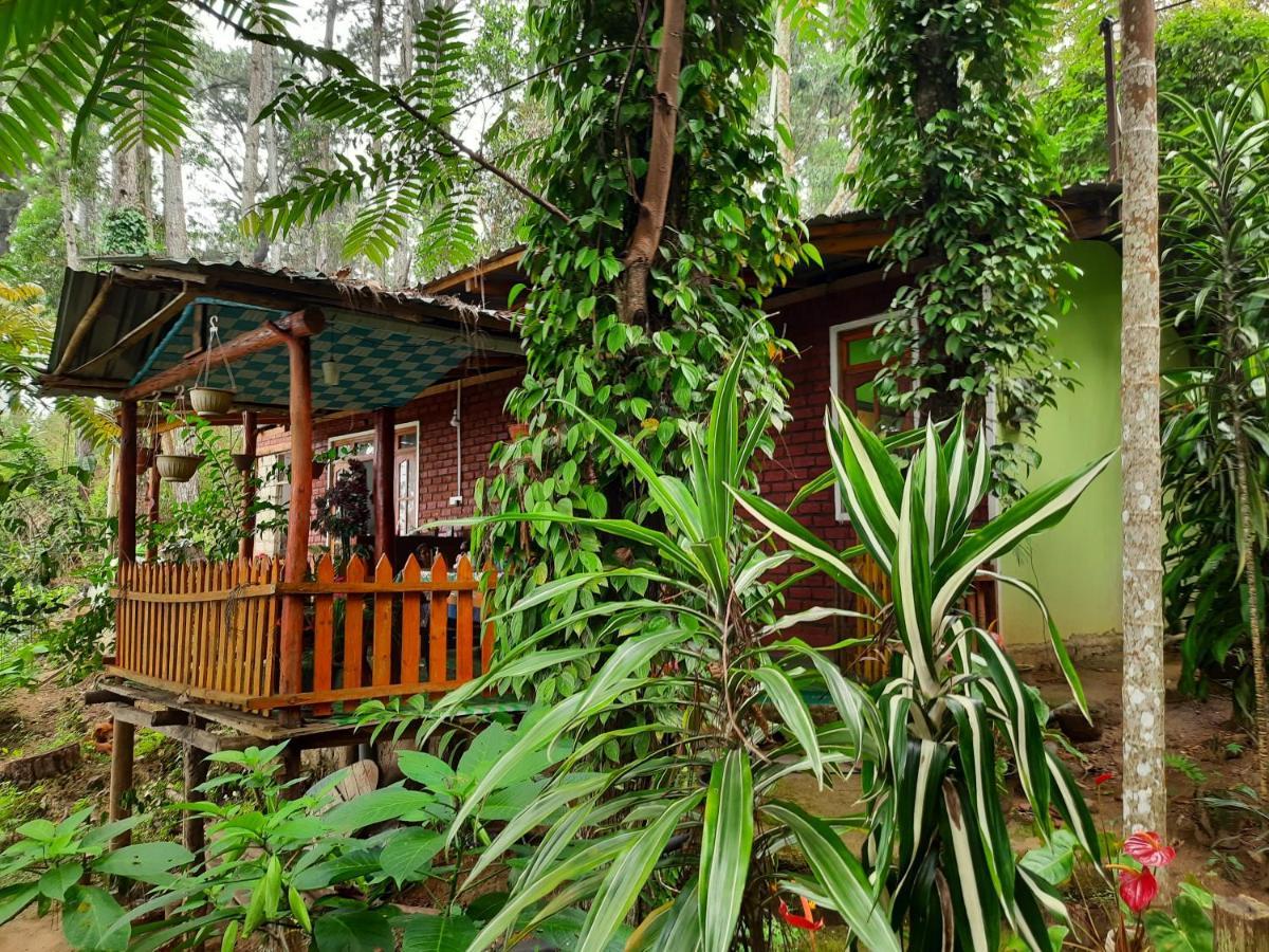 Green Heaven Lodge Ella Zewnętrze zdjęcie