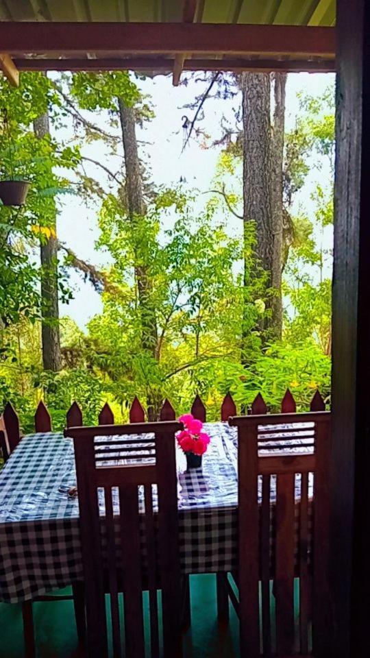 Green Heaven Lodge Ella Zewnętrze zdjęcie